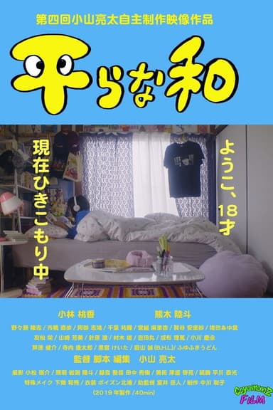 The Flat Sum poster