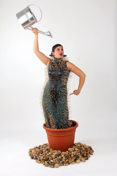 Human Cactus poster
