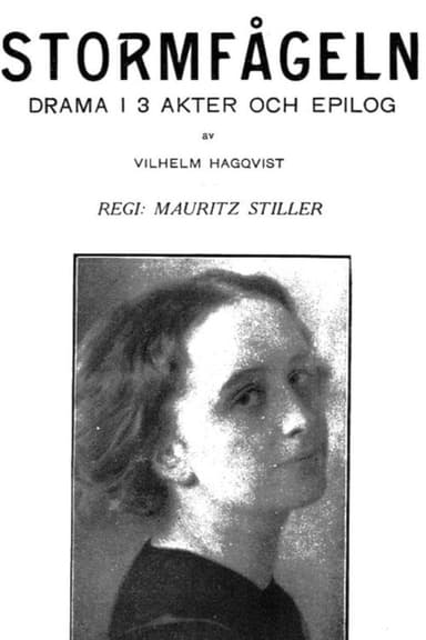 Stormfågeln poster