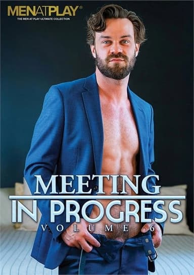 Meeting in Progress 6 poster