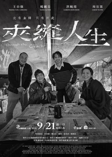 Through the Cracks poster