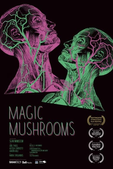 Magic Mushrooms poster