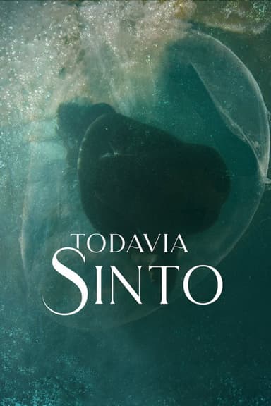 Todavia Sinto poster