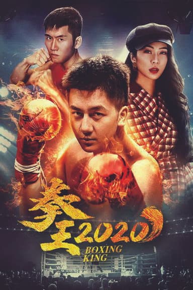 拳王2020 poster