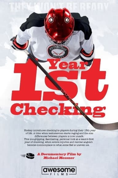 1st Year Checking poster