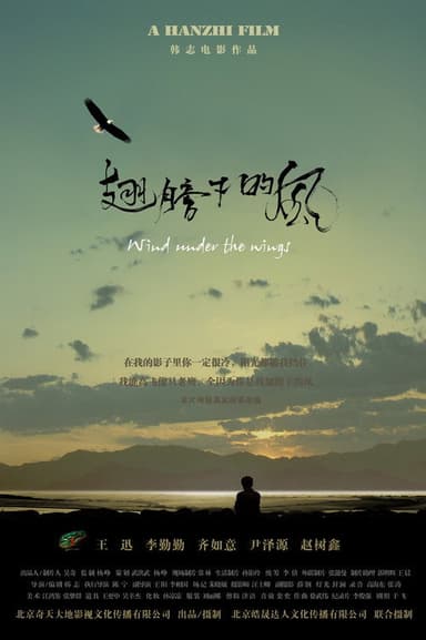Wind Under The Wings poster