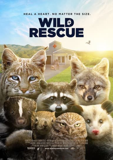 Wild Rescue poster