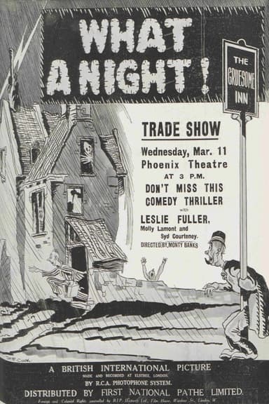 What a Night! poster