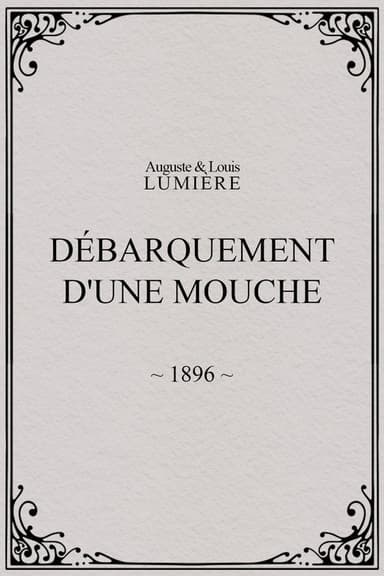 Lyon: Débarquement d'une mouche poster