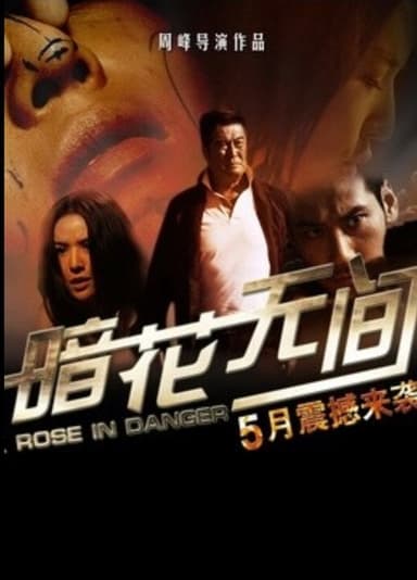 暗花无间 poster