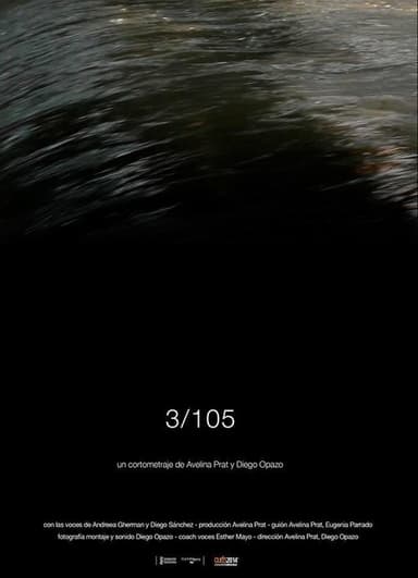 3/105 poster