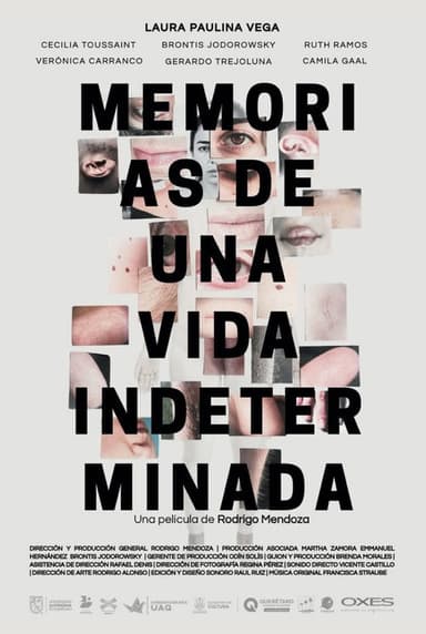 Memorias de una vida indeterminada poster