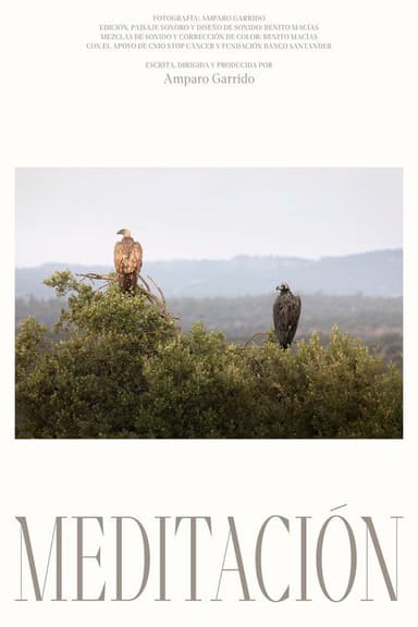 Meditación poster