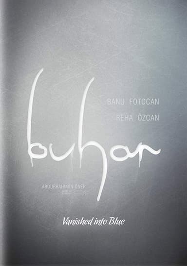 Vanished Into Blue poster