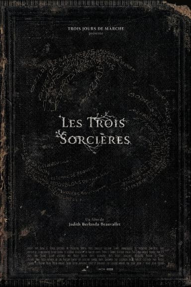 Les Trois Sorcières poster