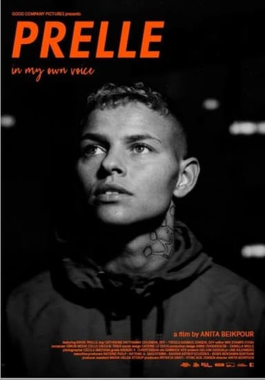 Prelle - In My Own Voice poster