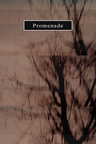Promenade poster