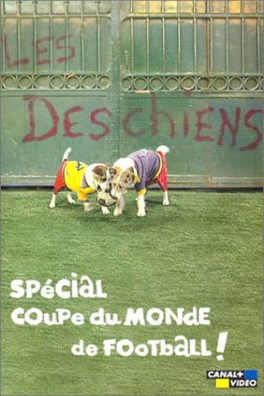 Les Deschiens - Spécial Coupe du Monde de football poster