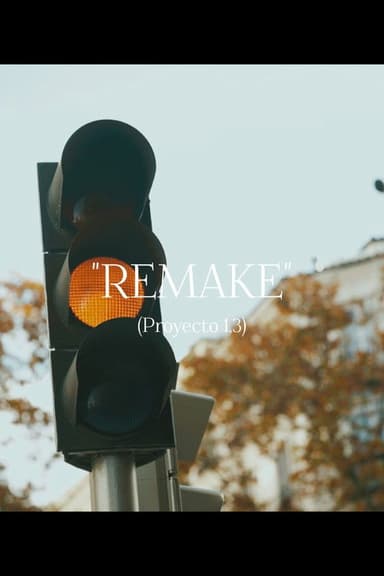 "REMAKE" (Proyecto 1,3) poster