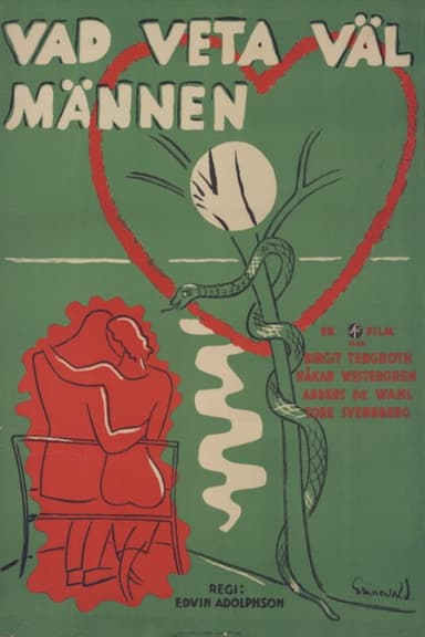 Vad veta väl männen? poster