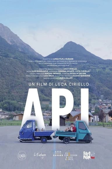 Api poster