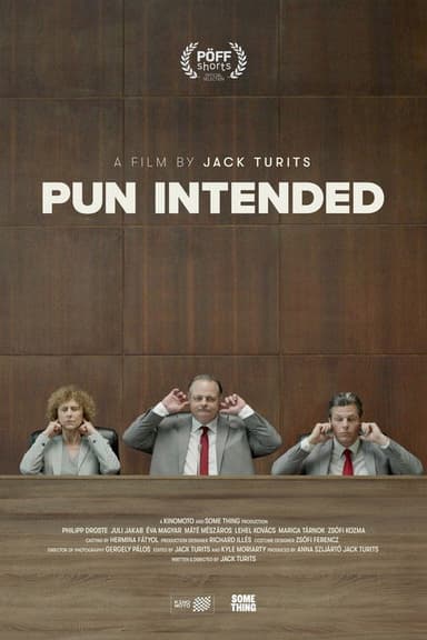 Pun Intended poster