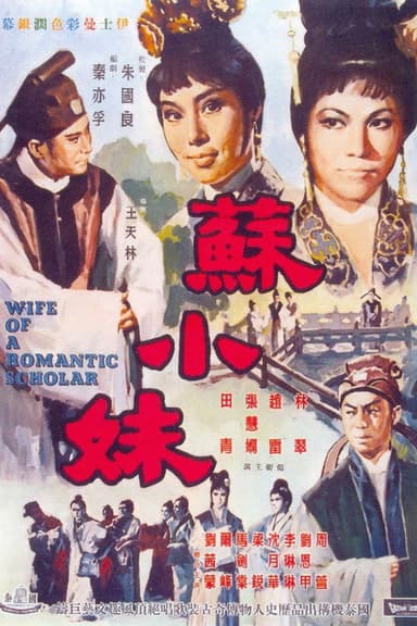 Wife of a Romantic Scholar poster