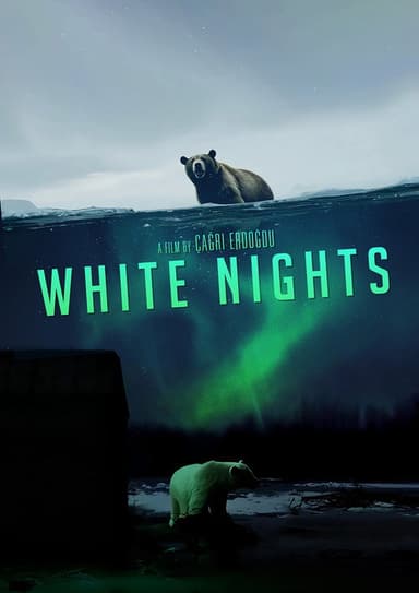 White Nights poster