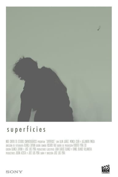 Surfaces poster