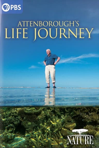 Attenborough's Life Journey poster
