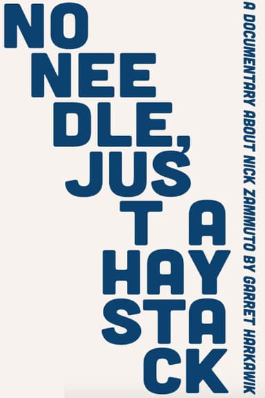 No Needle, Just A Haystack poster