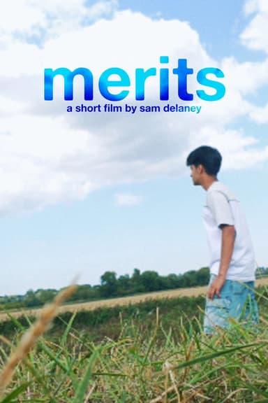 Merits poster