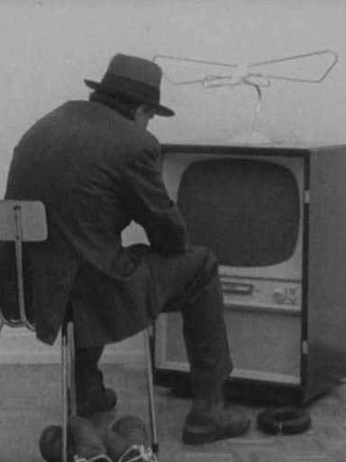 Felt TV poster