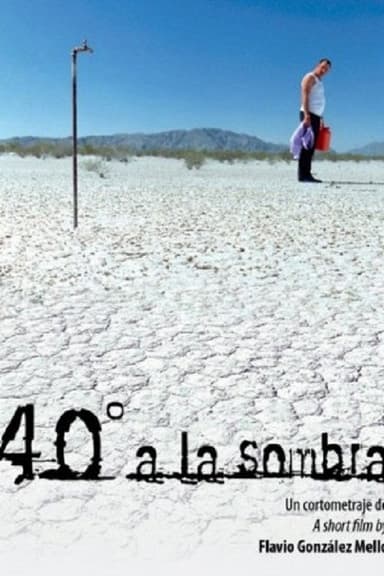 40°C In The Shade poster