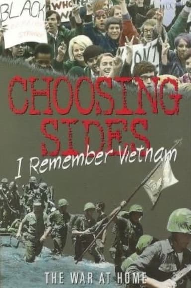 Choosing Sides: I Remember Vietnam poster
