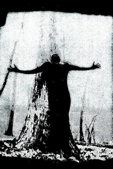IIsandra In Ruin poster
