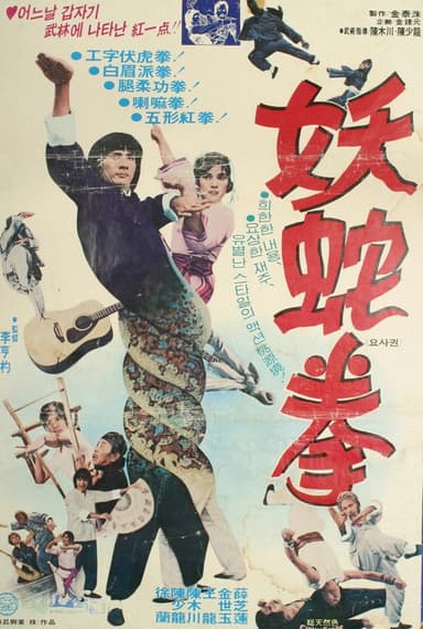 Lady Snake Fist poster