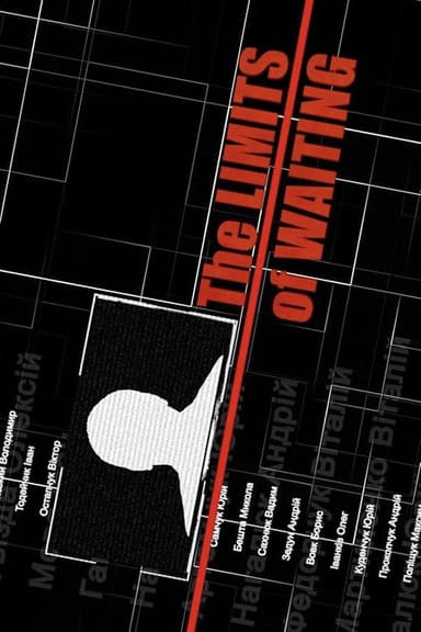The Limits of Waiting poster