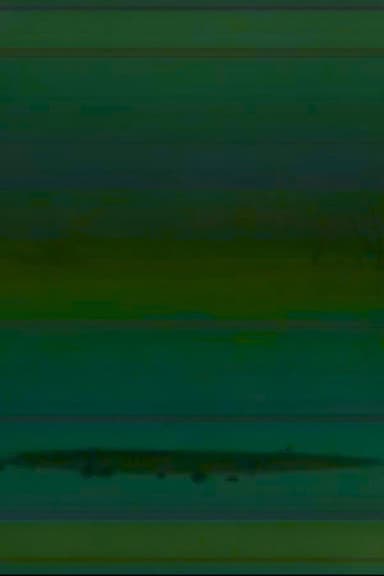 weak signal poster