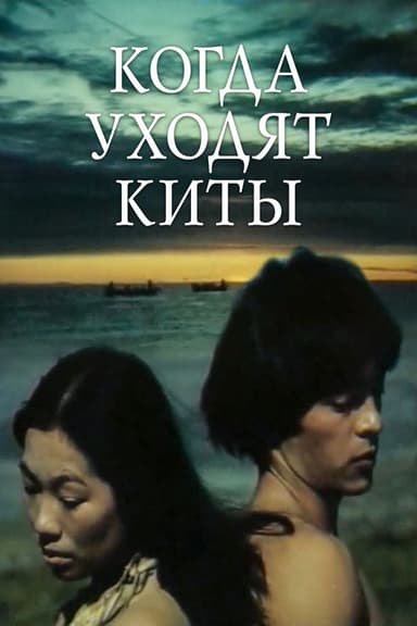 When the Whales Leave poster