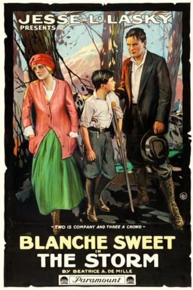 The Storm poster