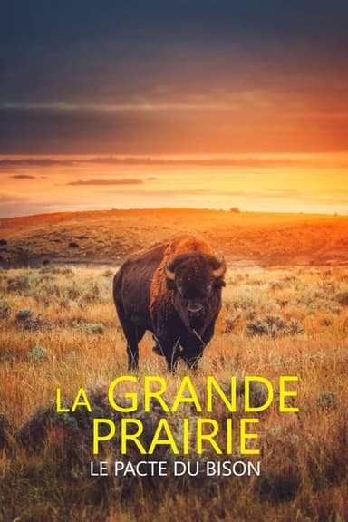 La grande prairie, le pacte du bison poster