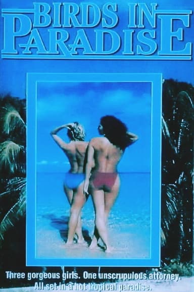 Soft Touch II poster