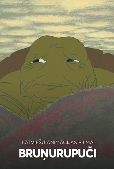 Turtles poster