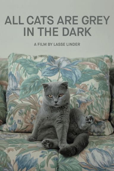 All Cats Are Grey in the Dark poster