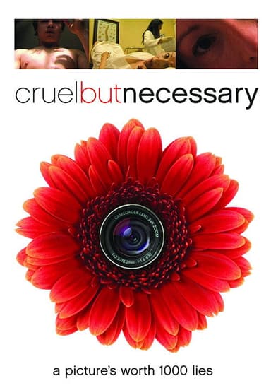 Cruel But Necessary poster