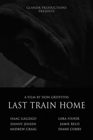 Last Train Home poster