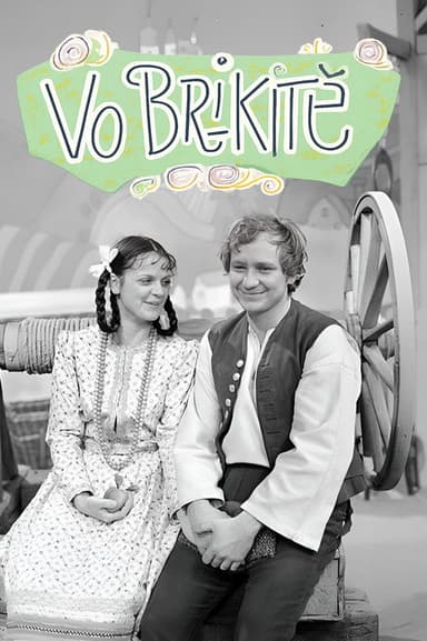 Vo Brikitě poster