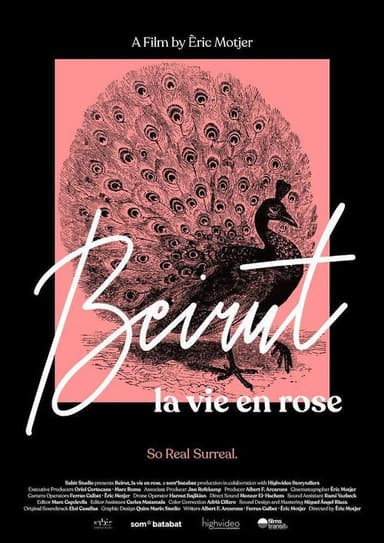 Beirut, la vie en rose poster