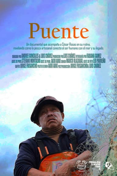 Bridge poster
